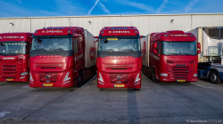 20251122-Daemen-00176